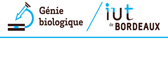 2021 logo-iut-gb